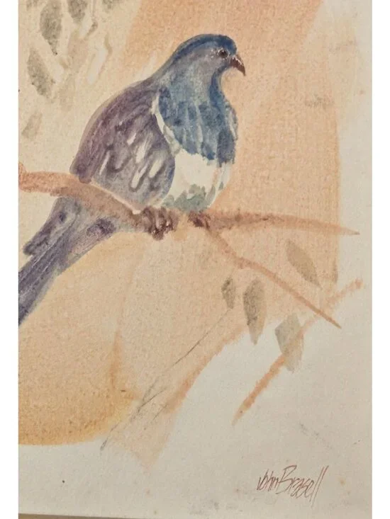 Vintage Framed NZ Pigeon Art John Russell 8.5"x6" Wood Frame bird Rustic Quirky - Picture 6 of 14